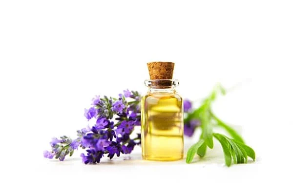 diseño de tienda online para venta de productos artesanales a turistas